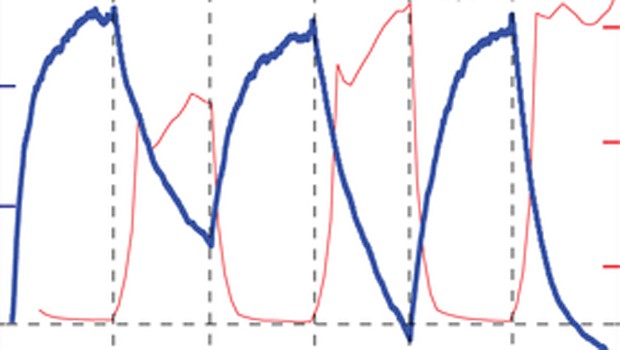 Modified figure from original publication.