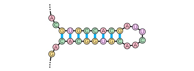 Stem loop (Wikipedia).