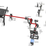 A lamp is used to illuminate the sample from above. Transmitted light is collected via the objective, passed through the Tube lens and Scan lens 2, and directed through Scan lens 4 via removable mirrors before imaging onto the camera.