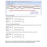 Design_qPCR_Primers_Image3.jpg
