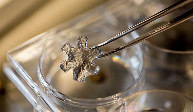 Carbon nanotubes are encapsulated within a hydrogel, allowing them to be implanted under the skin (Bryce Vickmark).