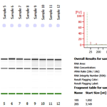 Bioanalyzerresults.png