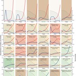 Max Planck scientists have compiled a catalogue of 46 species and their respective mortality and birth rates. Owen Jones (MaxO), Alexander Scheuerlein (MPIDR) et al. (Nature 2013).