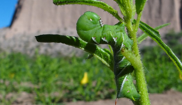 See image 1.