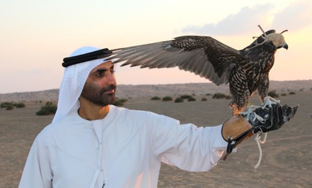 The Green Sheikh with a falcon.
