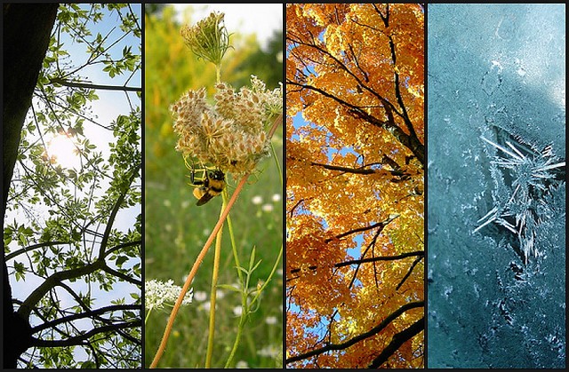 Flickr