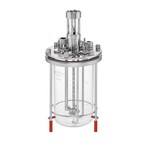 Bioreactor Vessel