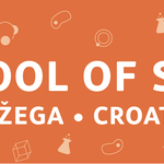 Summer School of Science.png