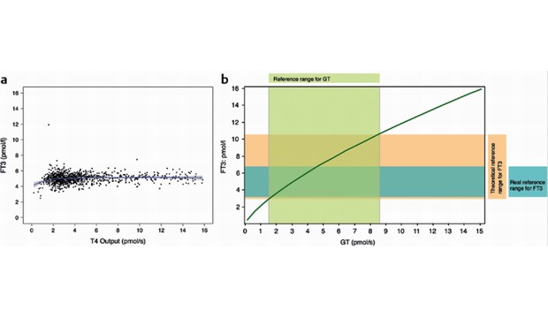 Comparison of in-vivo and in-silico data