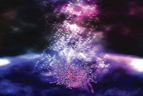 Image by University of Liverpool.