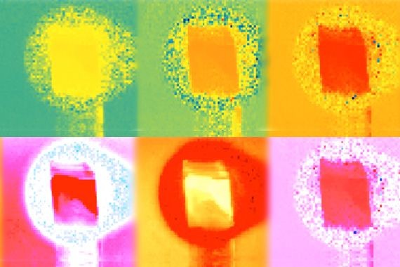 MIT-Cheap-Flouresence.jpg