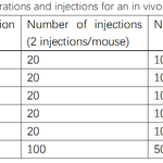 Table 2. Cell concentrations and injections for an in vivo limiting dilution assay