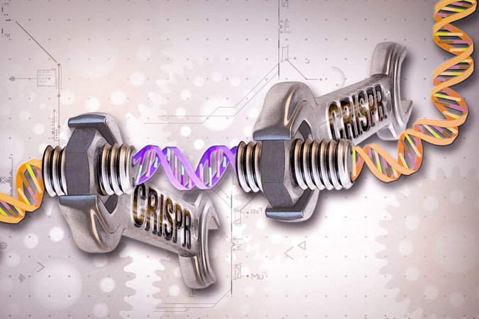 MIT-CRISPR-Cure.jpg
