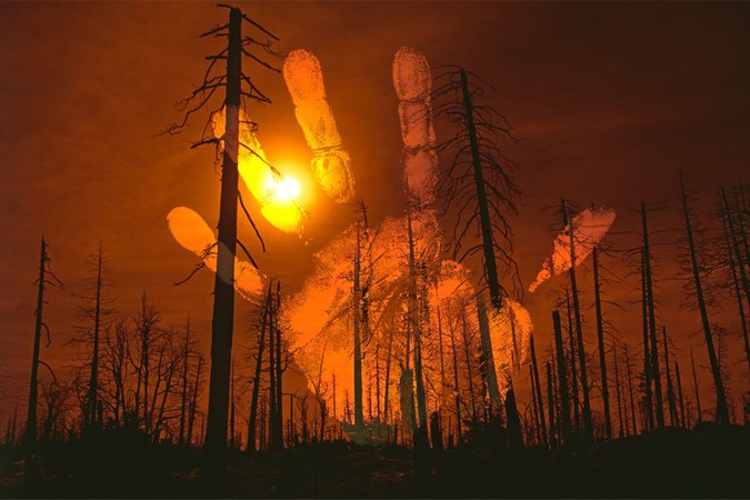 MIT-Human-Landscape.jpg