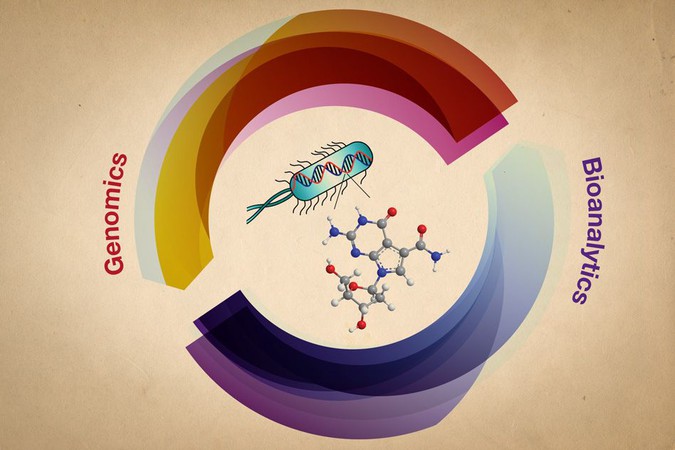 MIT-DNA-Modifications.jpg