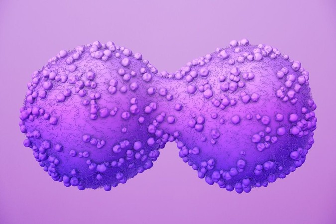 MIT-Cancer-Cell-Growth.jpg