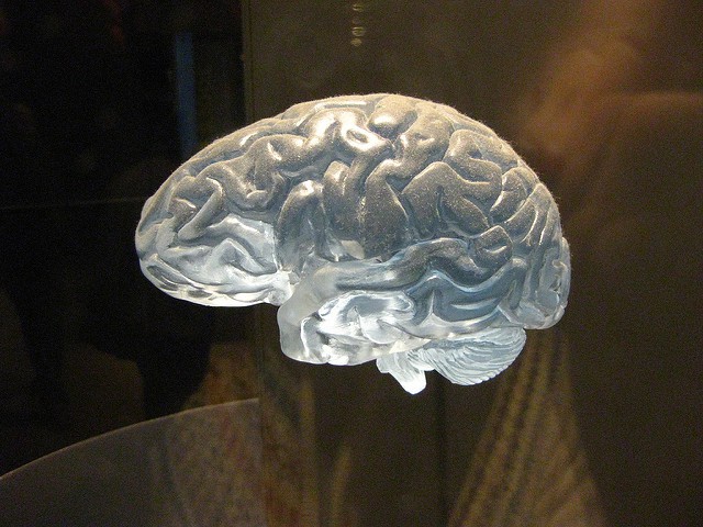 glowbrain.jpg