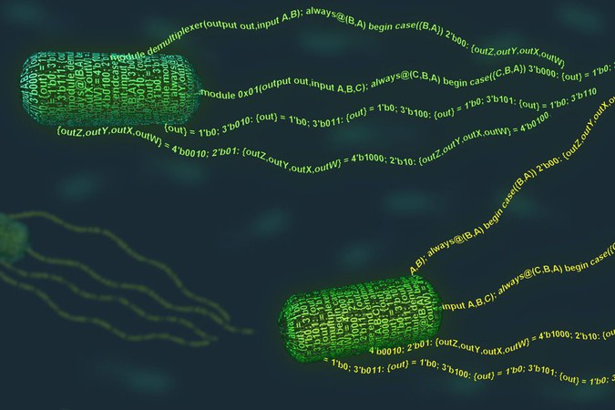 MIT-Program-Bacteria.jpg