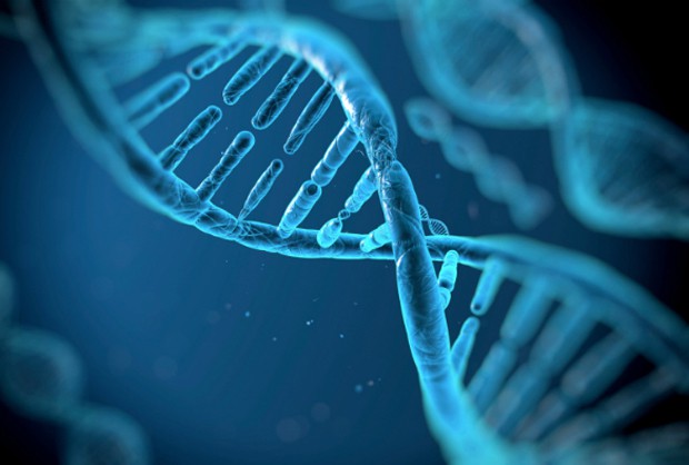 DNA-N_2.jpg