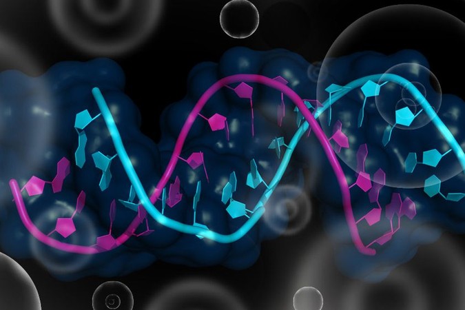 MIT-RNA-Control-1_0.jpg