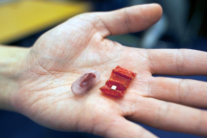 MIT-Microsurgeon-1.jpg