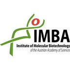 Institute of Molecular Biotechnology