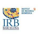 Institute for Research in Biomedicine (IRB Barcelona)