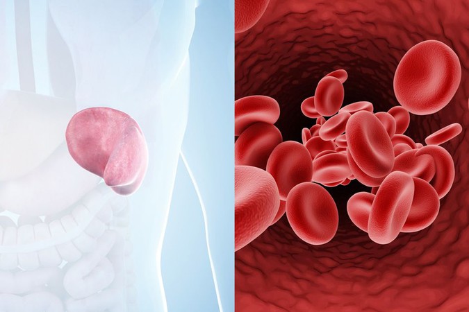 MIT-Filter-Blood.jpg