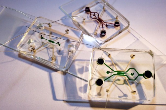 MIT-Electric-Therapy-1.jpg