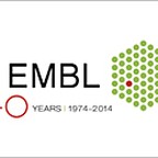 EMBL Recruitment
