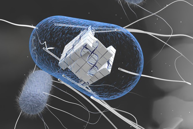 MIT-Program-Cell-1.jpg