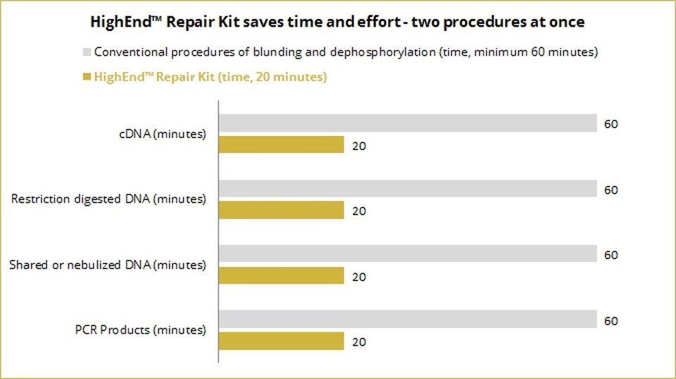 Blunting and phosphorylation of DNA prior to bluntend ligation