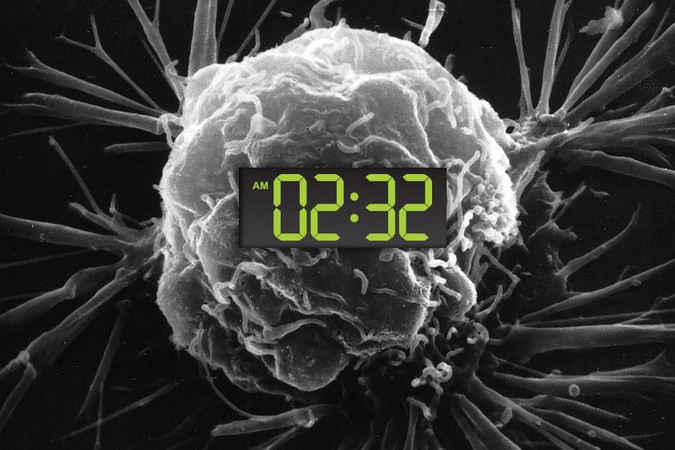MIT-Cancer-Circadian.jpg