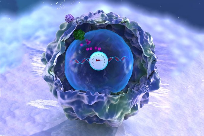 MIT-Memory-Cells.jpg