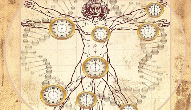 biological_clock.jpg