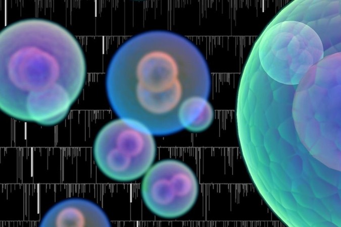 MIT-Cell-Mass-Sensor.jpg