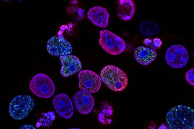 MIT-Cancer-Nano.jpg