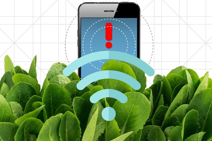 MIT-Plant-Communication.jpg