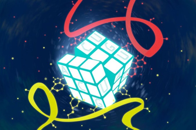 MIT-Cell-Stress-1.jpg