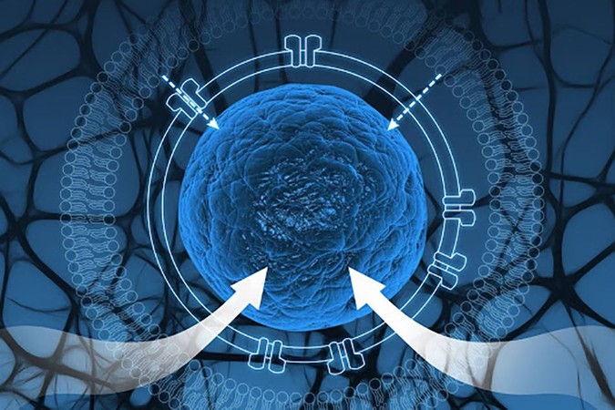 MIT-Synthetic-Cells.jpg