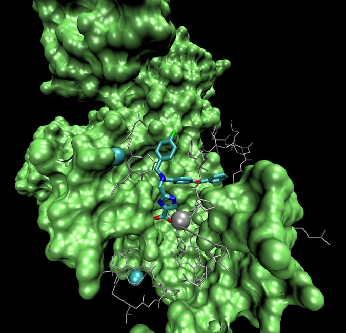 MMP_picture_15Dec2016_NA.png