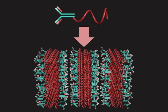 MIT-Antibody-sensor.jpg