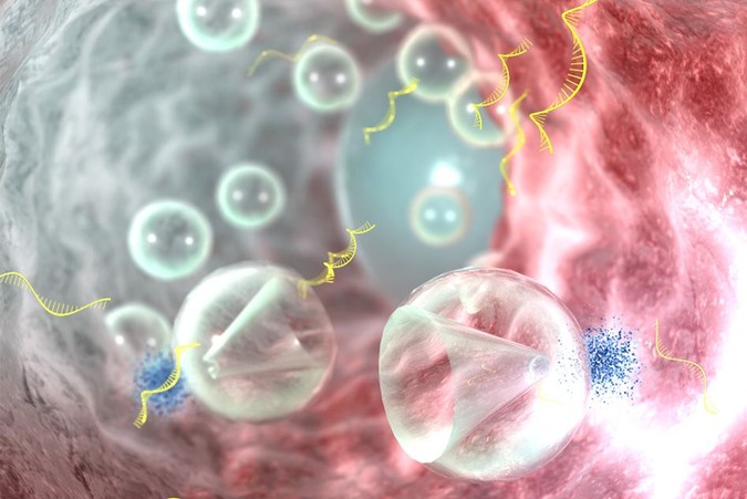 MIT-RNA-Delivery.jpg