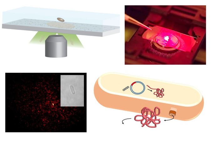 MIT-Protein-Detection.jpg