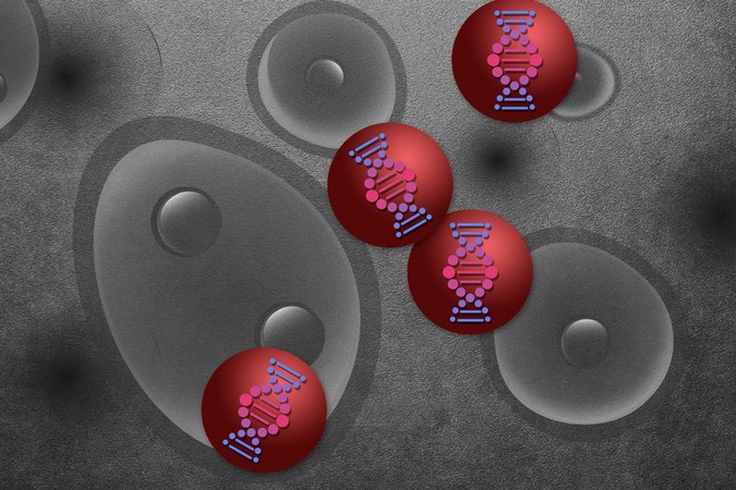 MIT-Target-Nano.jpg