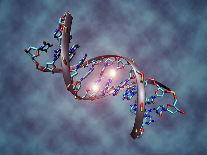 DNA-methylation.jpg