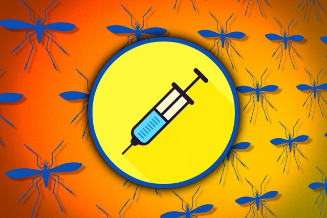 MIT-zika-vaccine_0.jpg