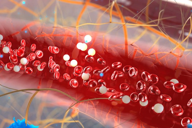 MIT-Myeloma-Micro.jpg