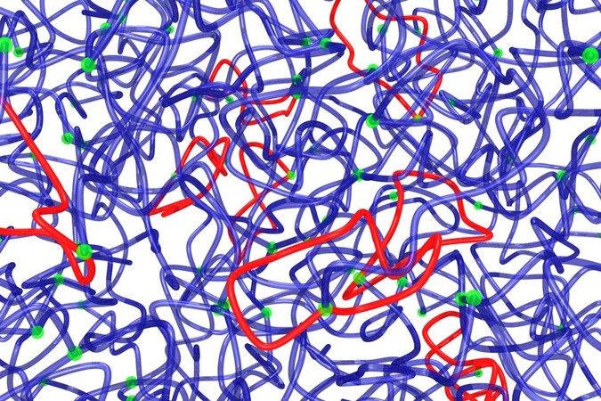 MIt-PolymerLoops.jpg