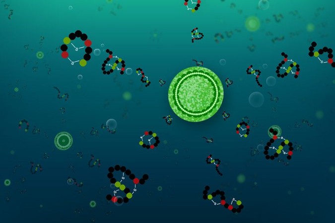 MIT-Prochlorococcus.jpg